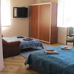 Mini Leon